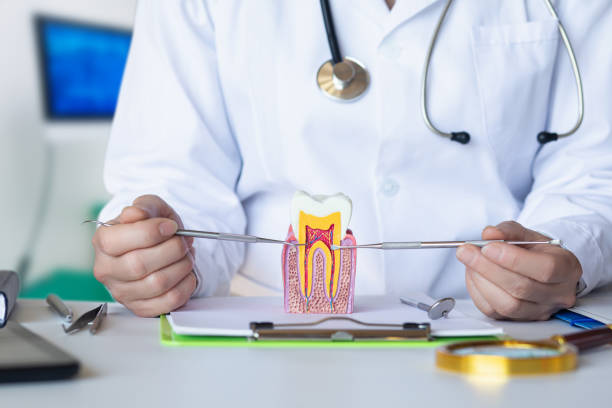 Best Walk-In Emergency Dental Services in Fkville, AL
